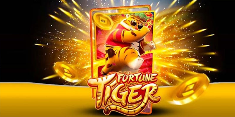 Quem é o Fortune Tiger 811bet